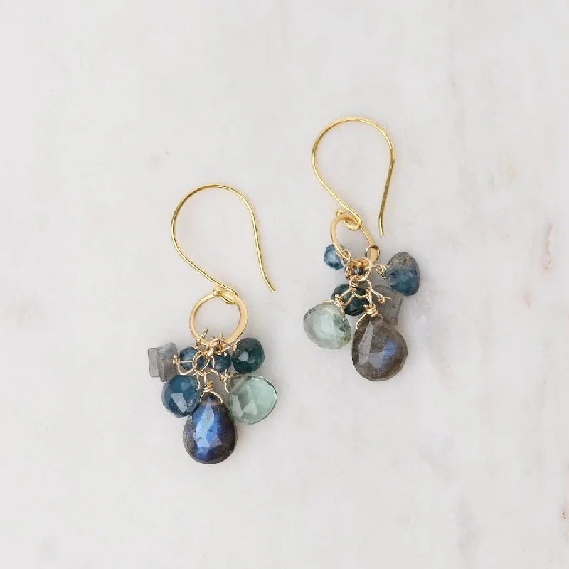 Labradorite Gold Hammered Circle Link Earrings