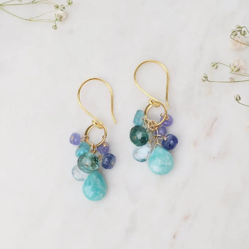 Amazonite Cluster On Hammered Circle Link Earrings