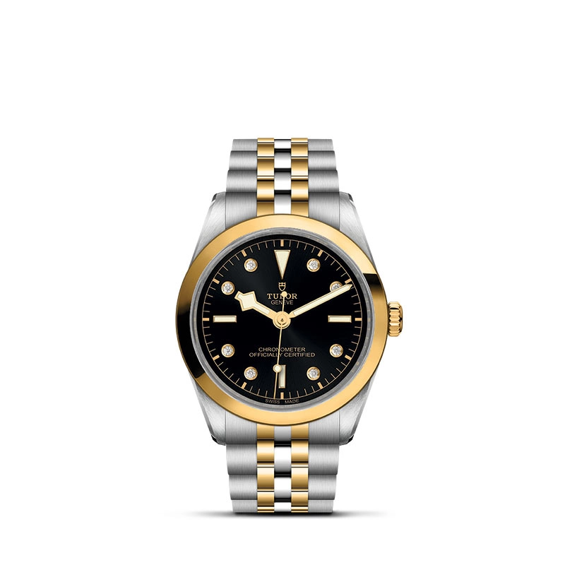 TUDOR Black Bay 36 S&G