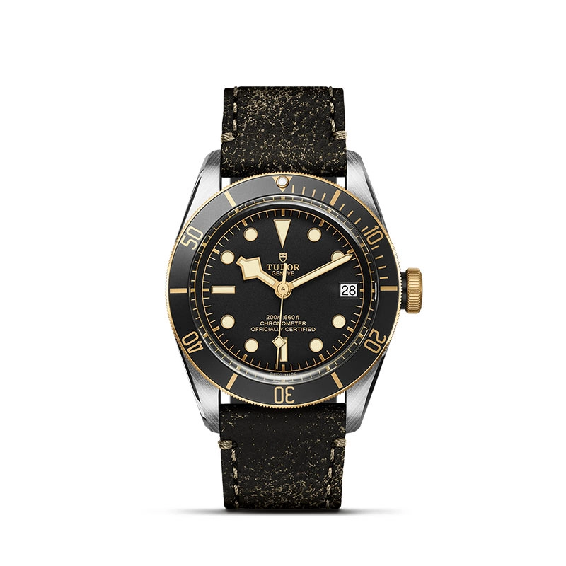 TUDOR Black Bay S&G 41mm Steel and Gold